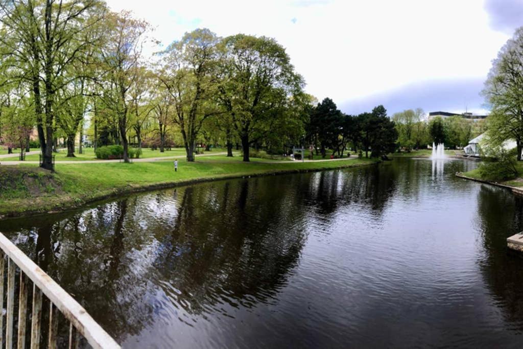 New Comfortable Apartment Nearby Promenade In 5 Minutes From Old Town Of Riga. エクステリア 写真